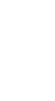 Mentor Blogging